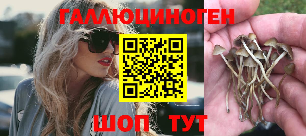 Галлюциногенные грибы прущие грибы Красный Сулин